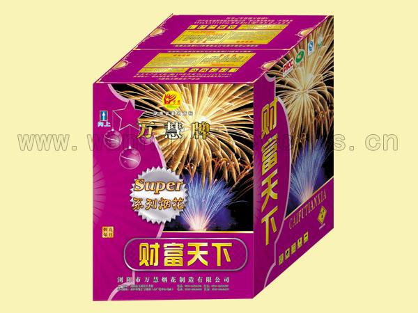 浏阳市万慧烟花制造有限公司