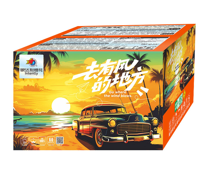 60��ȥ�з�ĵط�