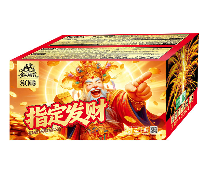 80��ָ������