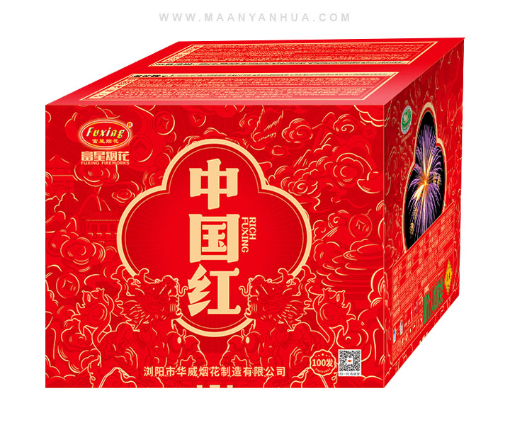 100���й���